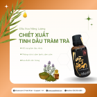 Tinh Dầu Tràm Trà - Bảo Vệ Sức Khoẻ Tự Nhiên