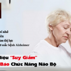 Dấu Hiệu "Suy Giảm" Cảnh Báo Chức Năng Não Bộ