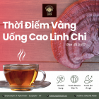 Thời Điểm "Vàng" Uống Cao Linh Chi - Bạn Đã Biết?